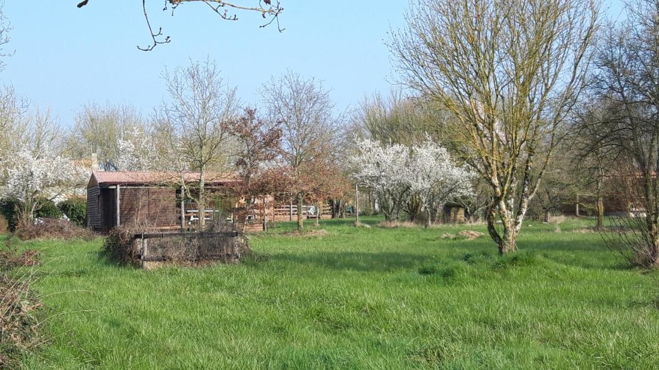 Le Domaine De La Barre Saint Michel Hotel Gourgé Buitenkant foto