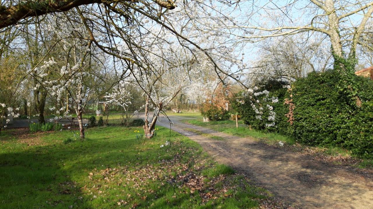 Le Domaine De La Barre Saint Michel Hotel Gourgé Buitenkant foto
