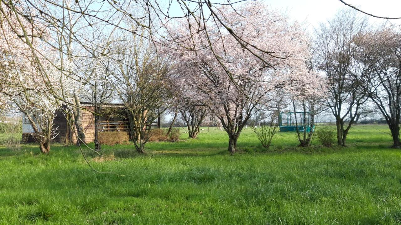Le Domaine De La Barre Saint Michel Hotel Gourgé Buitenkant foto